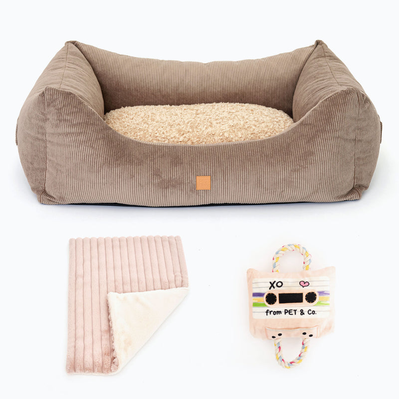 Winter Bundle - Kingston Brown