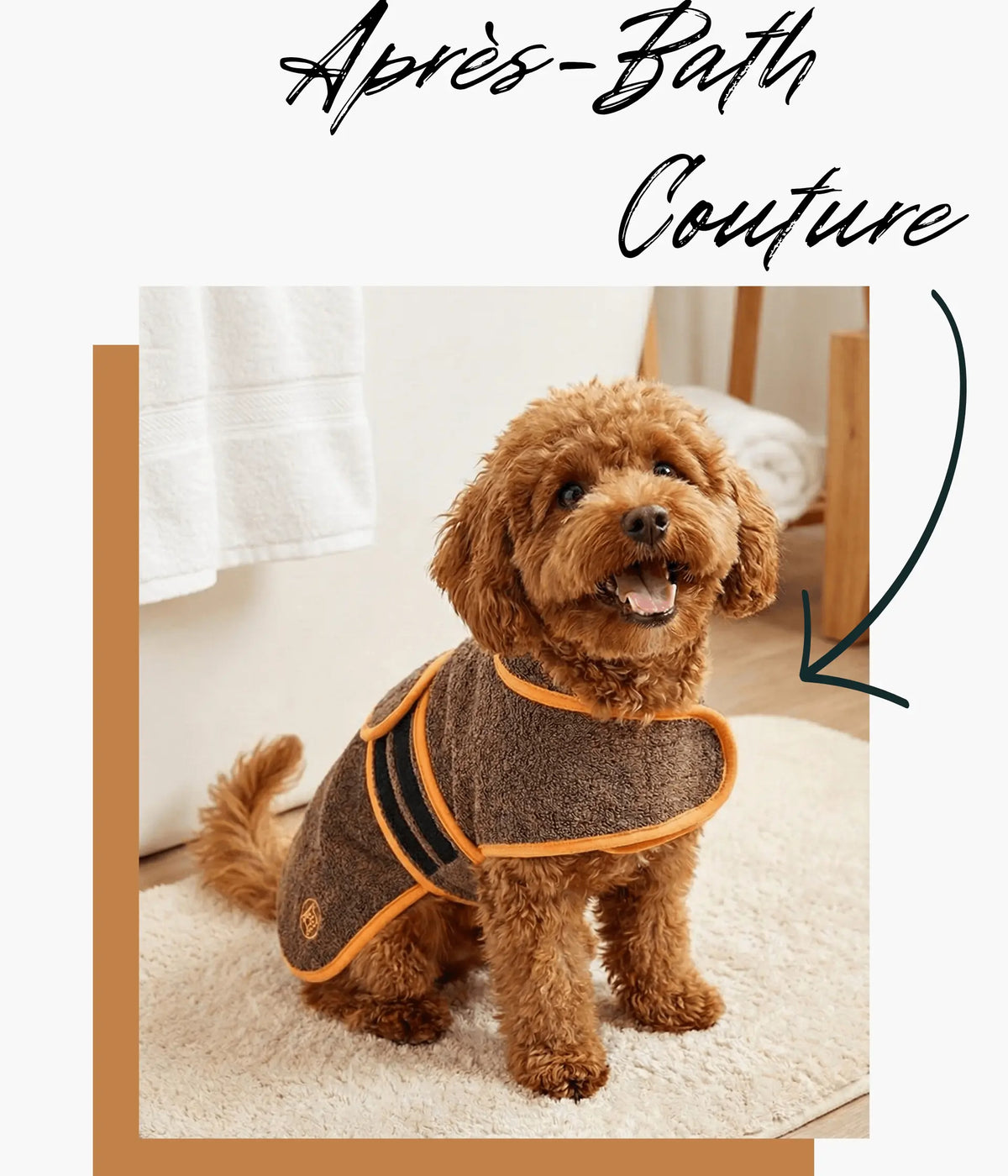 Bien-être pour le chien. Déclaration pour dein Bad.