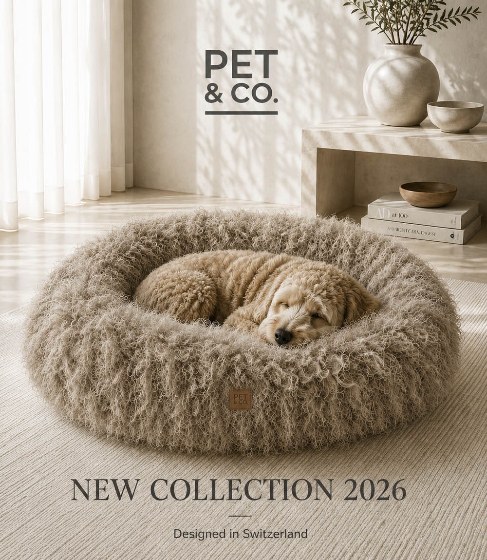 Winter Collection 2026