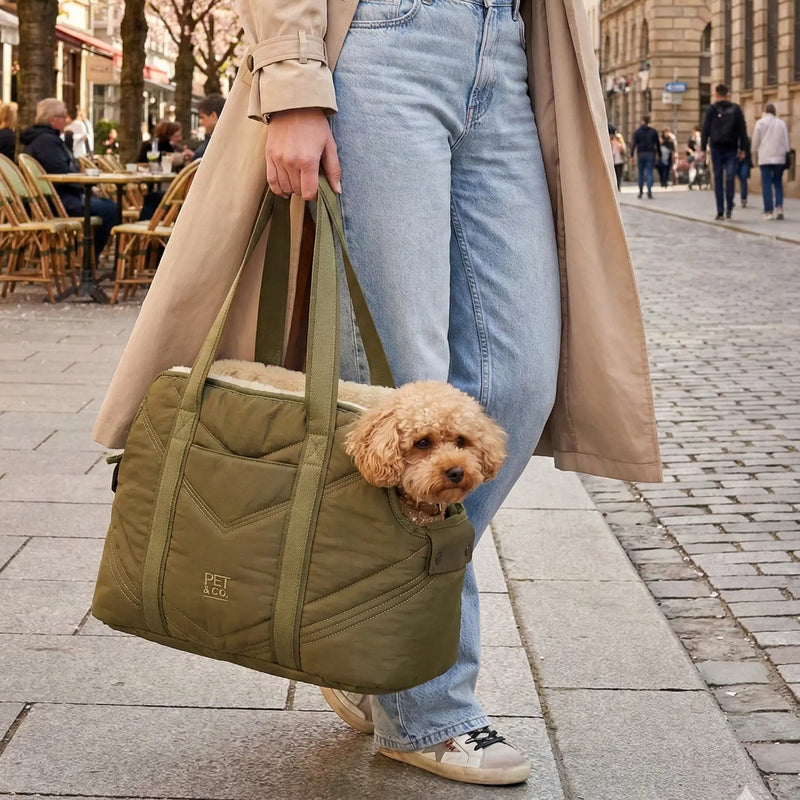Lola - Luxury Dog Bag