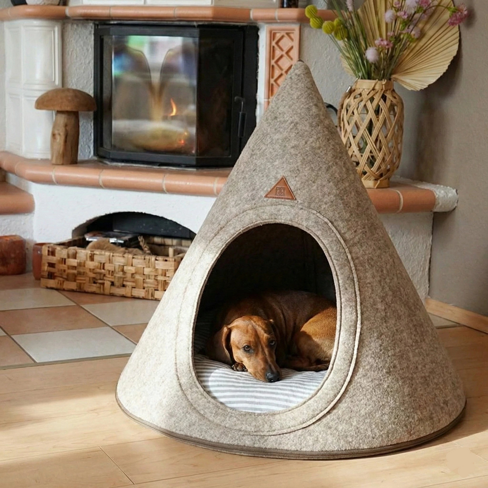 Schweizer Design mit Liebe zu Hund & Interieur