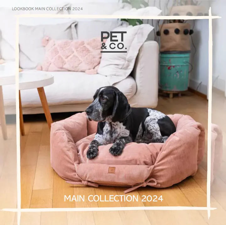 Collection principale PET & Co. 2025
